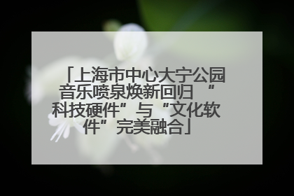 上海市中心大宁公园音乐喷泉焕新回归 “科技硬件”与“文化软件”完美融合