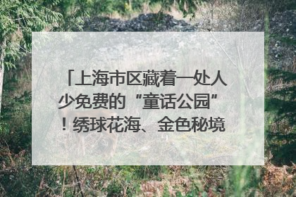 上海市区藏着一处人少免费的“童话公园”！绣球花海、金色秘境……地铁直达→
