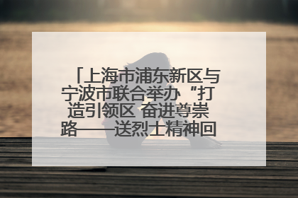 上海市浦东新区与宁波市联合举办“打造引领区 奋进尊崇路——送烈士精神回家乡”主题活动