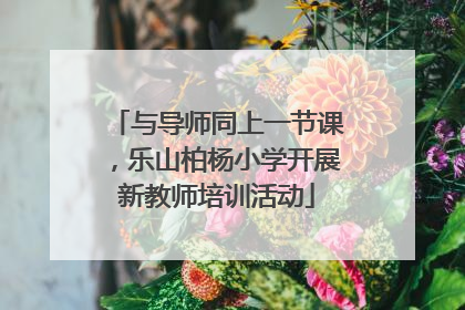 与导师同上一节课，乐山柏杨小学开展新教师培训活动