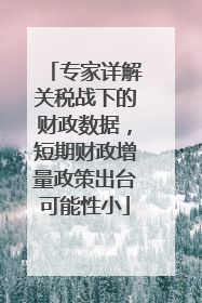 专家详解关税战下的财政数据，短期财政增量政策出台可能性小