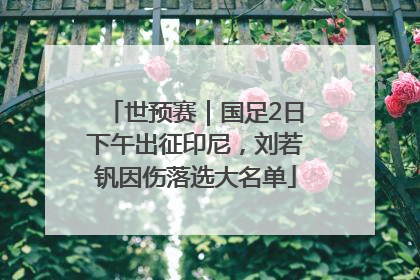世预赛｜国足2日下午出征印尼，刘若钒因伤落选大名单