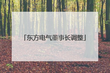 东方电气董事长调整