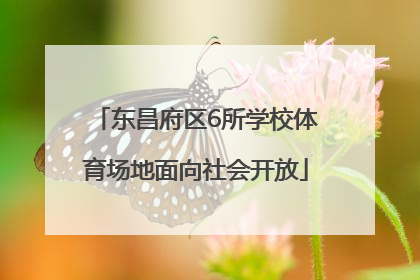 东昌府区6所学校体育场地面向社会开放