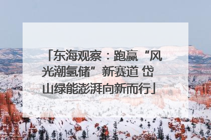 东海观察：跑赢“风光潮氢储”新赛道 岱山绿能澎湃向新而行
