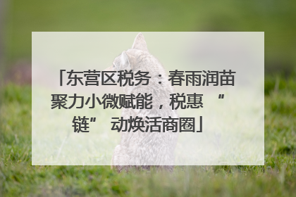 东营区税务：春雨润苗聚力小微赋能，税惠 “链” 动焕活商圈