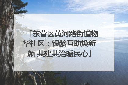 东营区黄河路街道物华社区：银龄互助焕新颜 共建共治暖民心