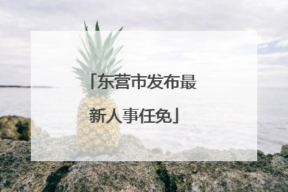 东营市发布最新人事任免