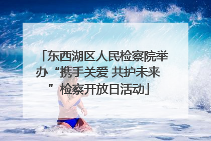 东西湖区人民检察院举办“携手关爱 共护未来”检察开放日活动