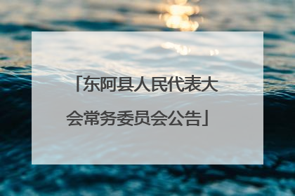 东阿县人民代表大会常务委员会公告