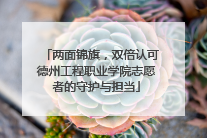 两面锦旗，双倍认可德州工程职业学院志愿者的守护与担当