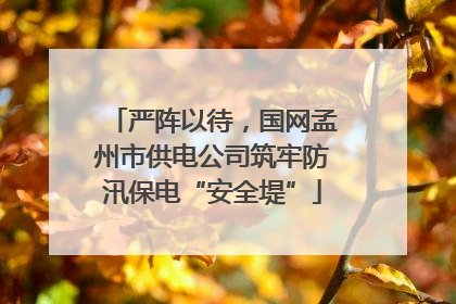 严阵以待，国网孟州市供电公司筑牢防汛保电“安全堤”