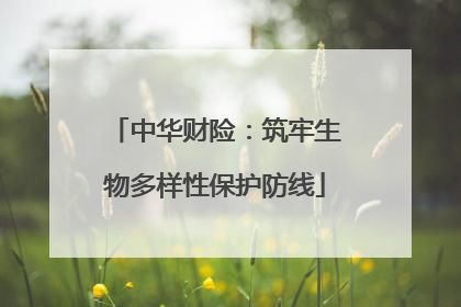 中华财险：筑牢生物多样性保护防线