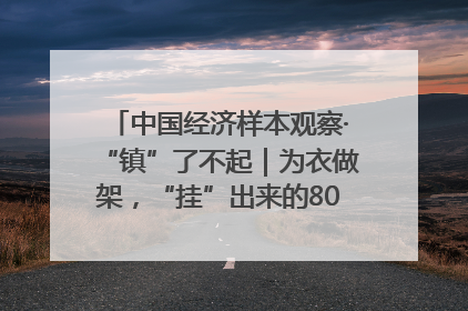 中国经济样本观察·“镇”了不起｜为衣做架，“挂”出来的80亿元“衣架产业”