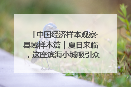 中国经济样本观察·县域样本篇｜夏日来临，这座滨海小城吸引众多年轻人打卡……