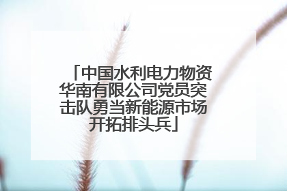 中国水利电力物资华南有限公司党员突击队勇当新能源市场开拓排头兵
