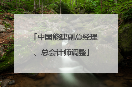 中国能建副总经理、总会计师调整
