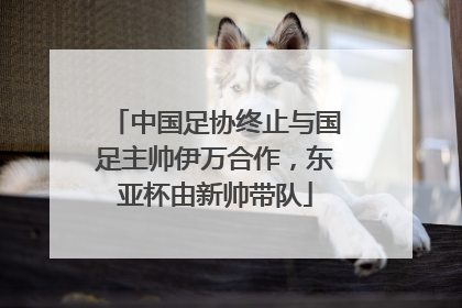 中国足协终止与国足主帅伊万合作，东亚杯由新帅带队