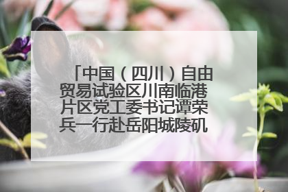 中国（四川）自由贸易试验区川南临港片区党工委书记谭荣兵一行赴岳阳城陵矶综保区考察