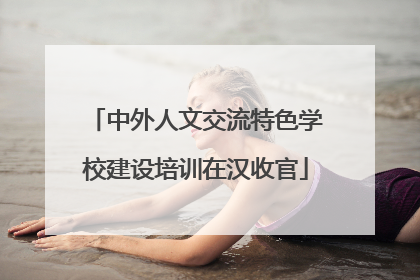 中外人文交流特色学校建设培训在汉收官
