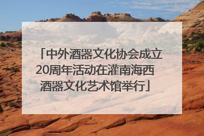 中外酒器文化协会成立20周年活动在灌南海西酒器文化艺术馆举行