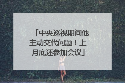 中央巡视期间他主动交代问题！上月底还参加会议