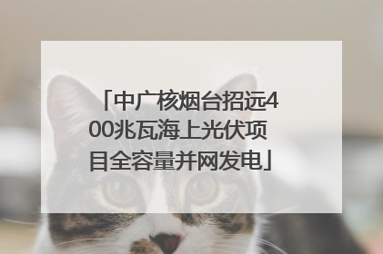 中广核烟台招远400兆瓦海上光伏项目全容量并网发电