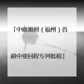 中欧班列（福州）首趟中亚回程专列抵榕