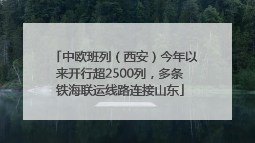 中欧班列（西安）今年以来开行超2500列，多条铁海联运线路连接山东