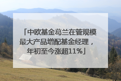 中欧基金葛兰在管规模最大产品增配基金经理，年初至今涨超11%