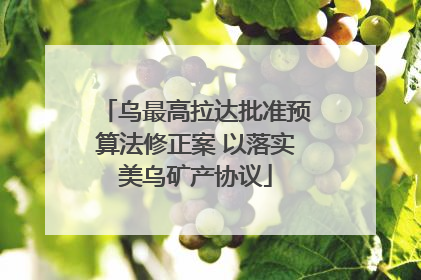 乌最高拉达批准预算法修正案 以落实美乌矿产协议