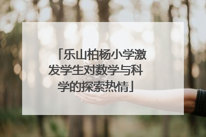 乐山柏杨小学激发学生对数学与科学的探索热情