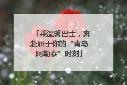 乘温馨巴士，奔赴属于你的“青岛阿勒泰”时刻