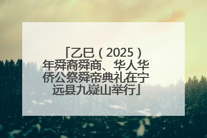 乙巳（2025）年舜裔舜商、华人华侨公祭舜帝典礼在宁远县九嶷山举行