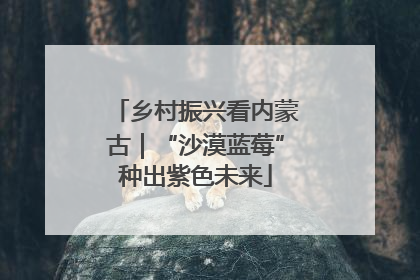 乡村振兴看内蒙古｜“沙漠蓝莓”种出紫色未来