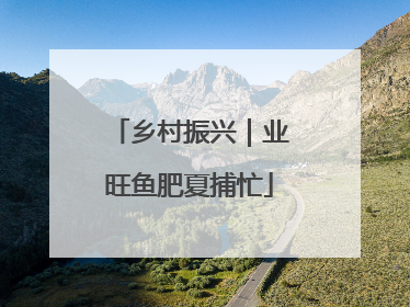 乡村振兴｜业旺鱼肥夏捕忙