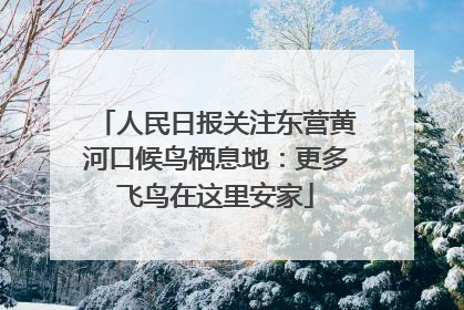 人民日报关注东营黄河口候鸟栖息地：更多飞鸟在这里安家
