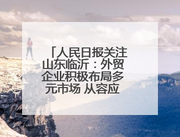 人民日报关注山东临沂：外贸企业积极布局多元市场 从容应对市场波动