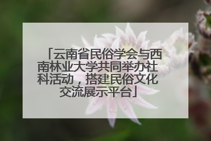 云南省民俗学会与西南林业大学共同举办社科活动，搭建民俗文化交流展示平台