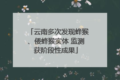 云南多次发现蜂猴、倭蜂猴实体 监测获阶段性成果