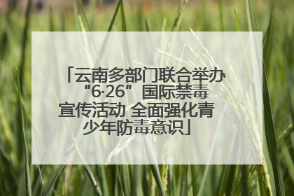 云南多部门联合举办“6·26”国际禁毒宣传活动 全面强化青少年防毒意识