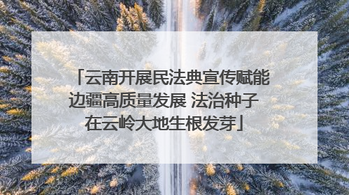 云南开展民法典宣传赋能边疆高质量发展 法治种子在云岭大地生根发芽