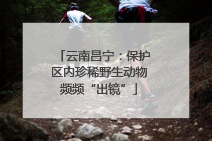 云南昌宁：保护区内珍稀野生动物频频“出镜”