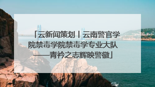 云新闻策划丨云南警官学院禁毒学院禁毒学专业大队——青衿之志辉映警徽