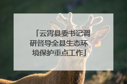 云霄县委书记调研督导全县生态环境保护重点工作