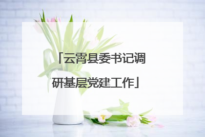 云霄县委书记调研基层党建工作