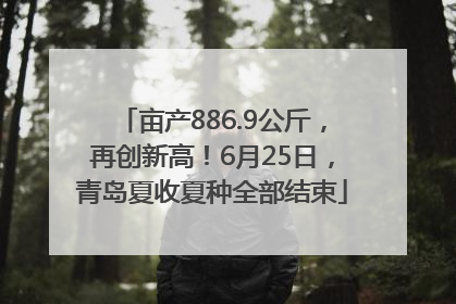 亩产886.9公斤，再创新高！6月25日，青岛夏收夏种全部结束