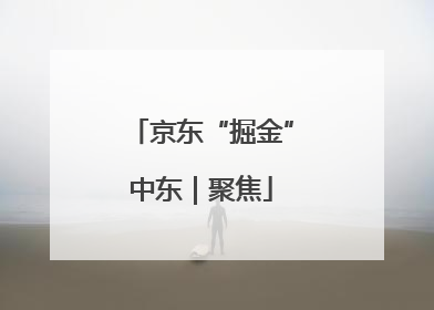 京东“掘金”中东｜聚焦