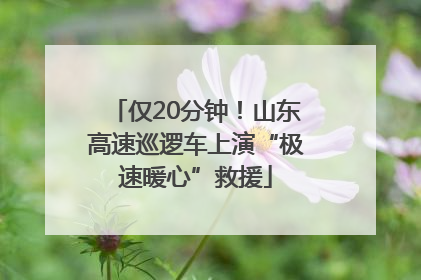 仅20分钟！山东高速巡逻车上演“极速暖心”救援