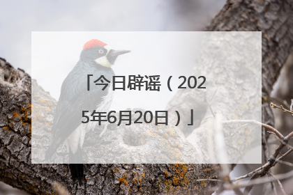 今日辟谣（2025年6月20日）